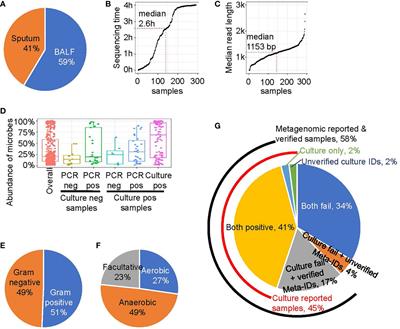 Prospective Evaluation of a Rapid Clinical Metagenomics Test for Bacterial Pneumonia